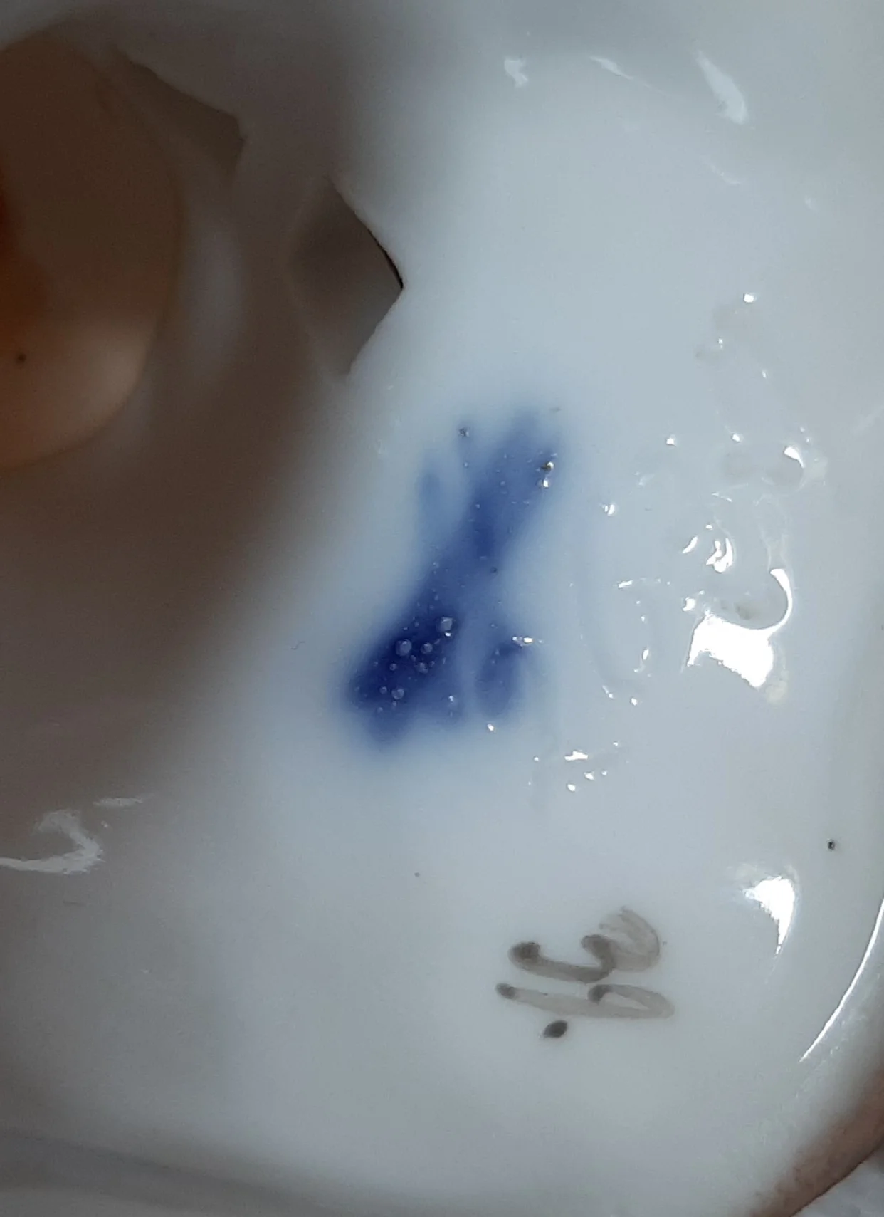 20220618_100655.jpg