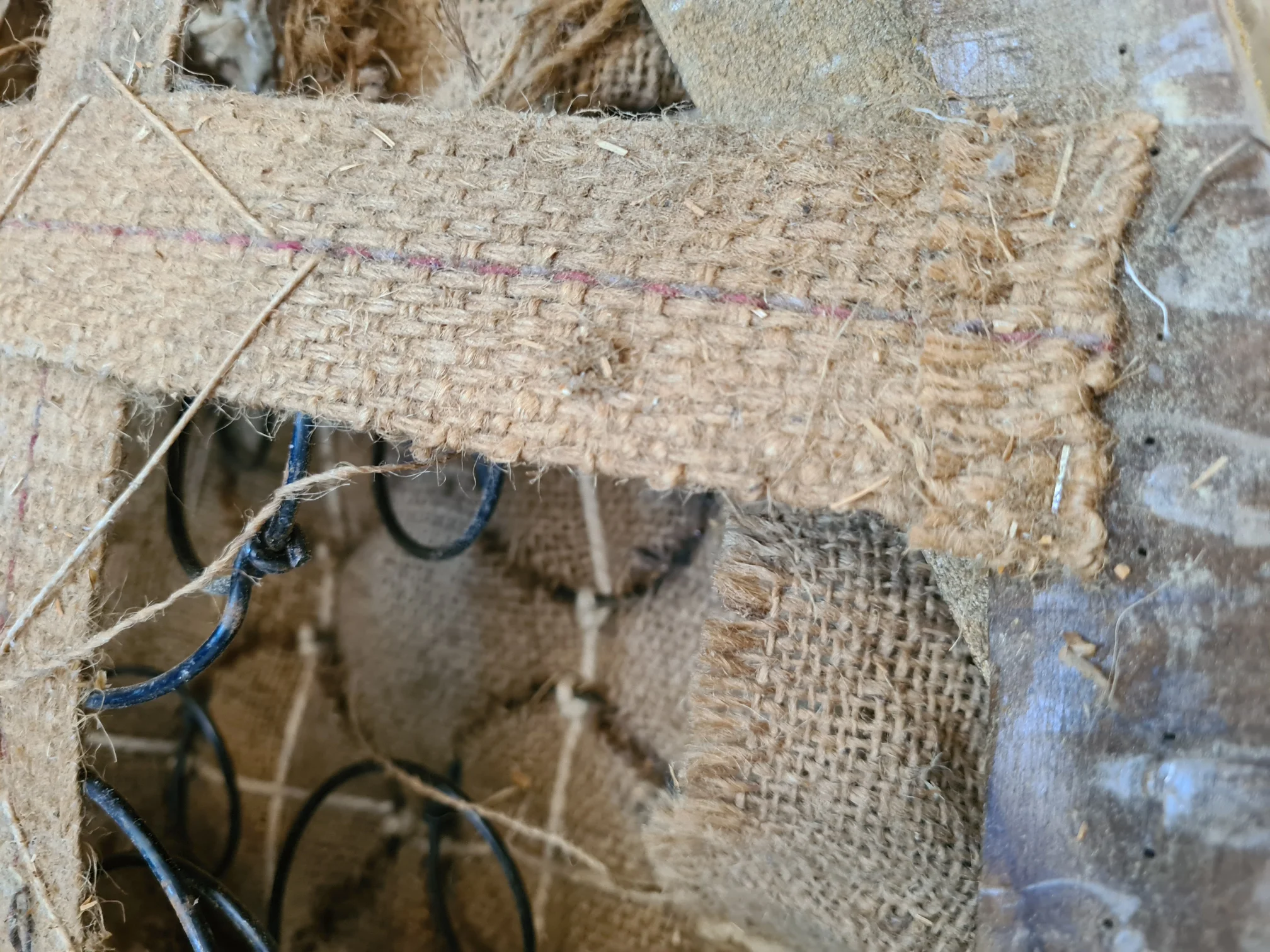 20220703_133332.jpg