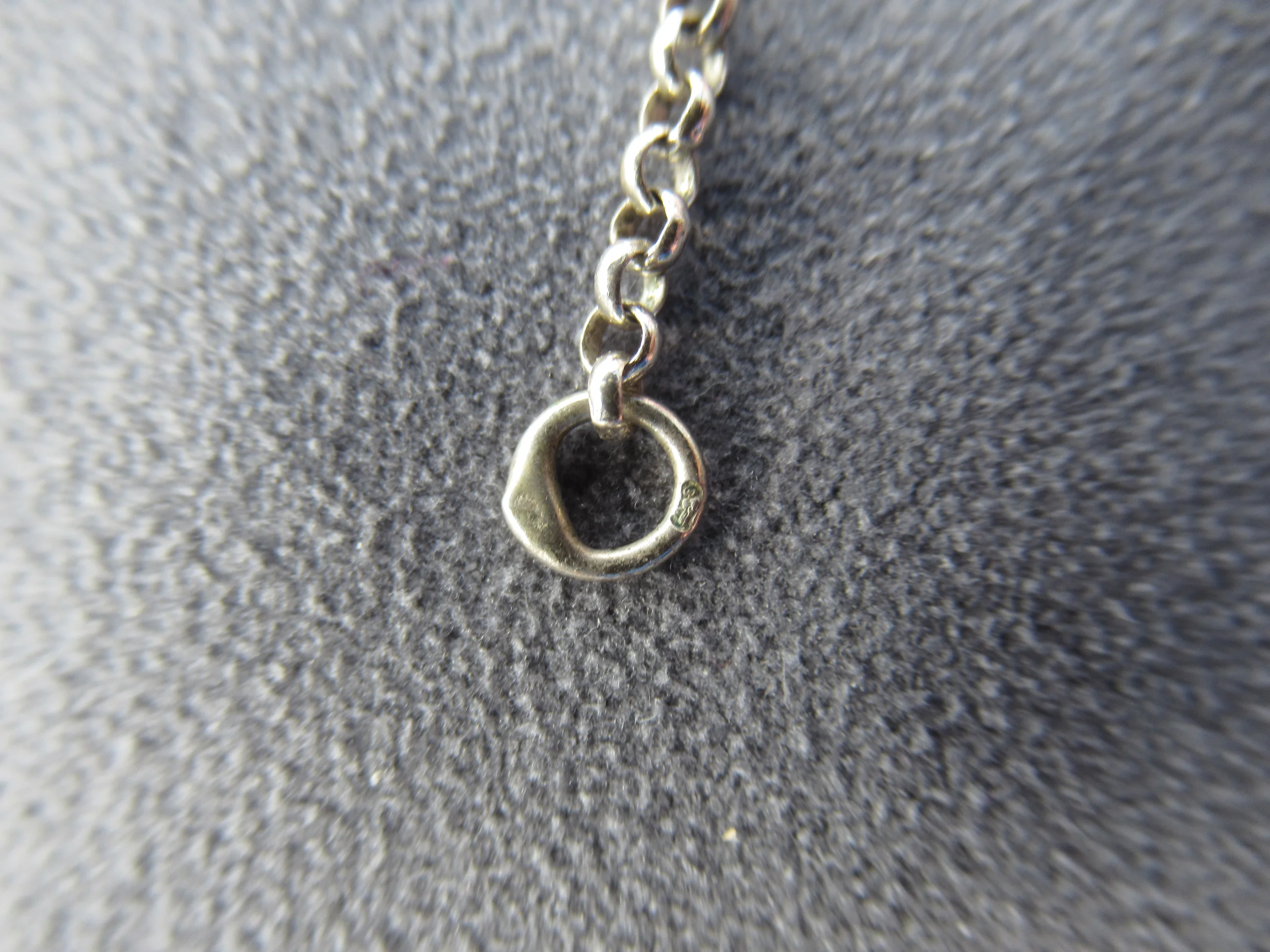 Verschluss Ring.JPG