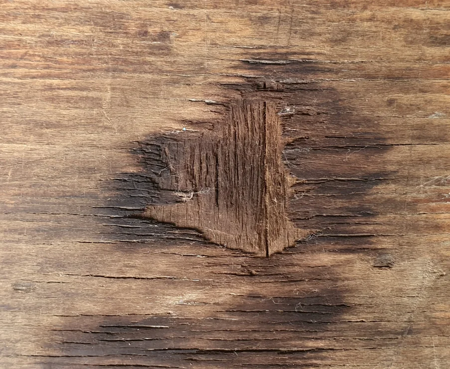 20220815_144608.jpg