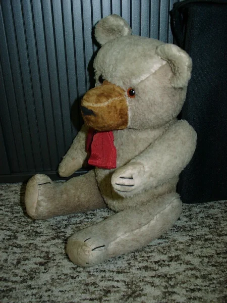 12260008.JPG