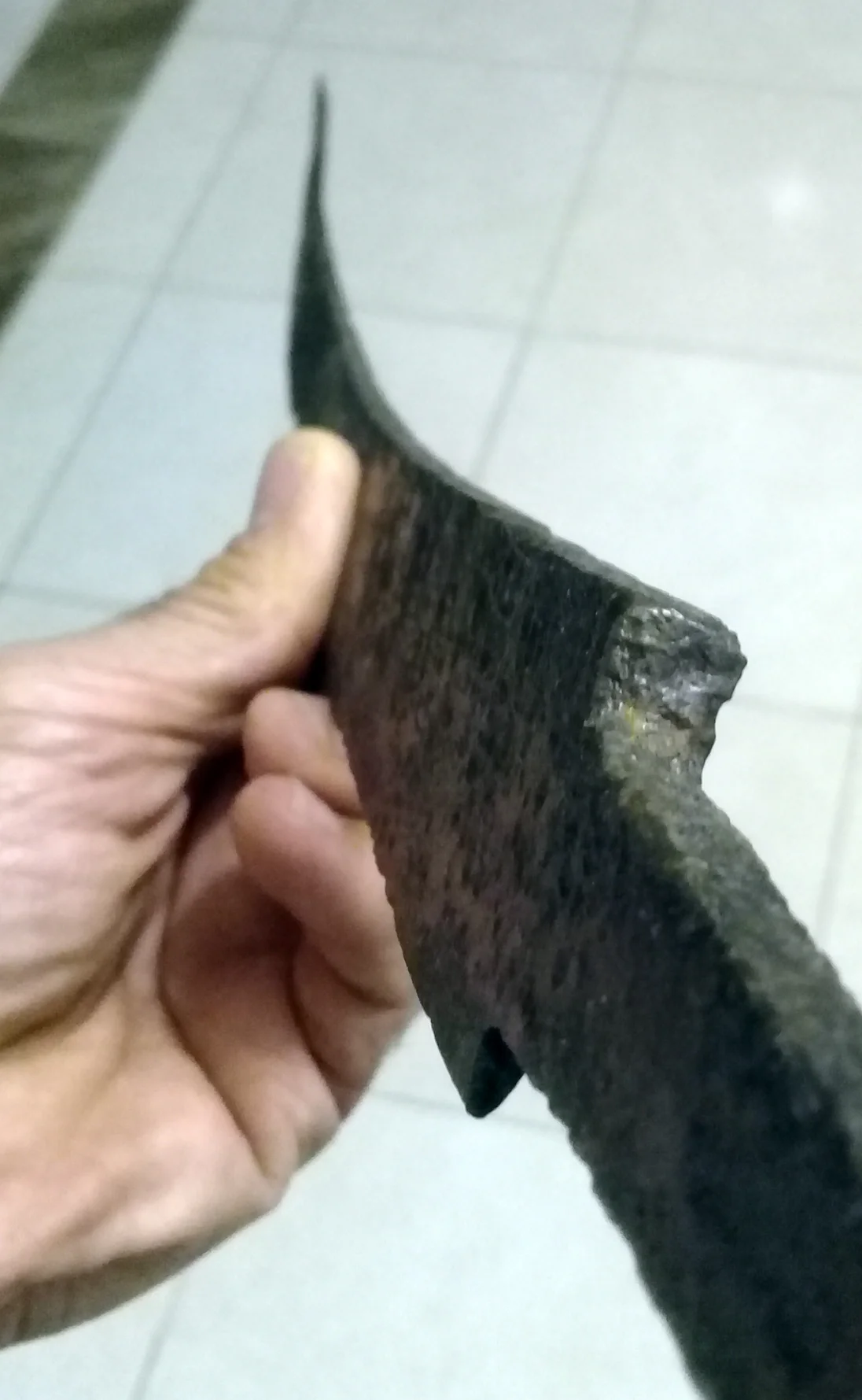 20220829_201342.jpg