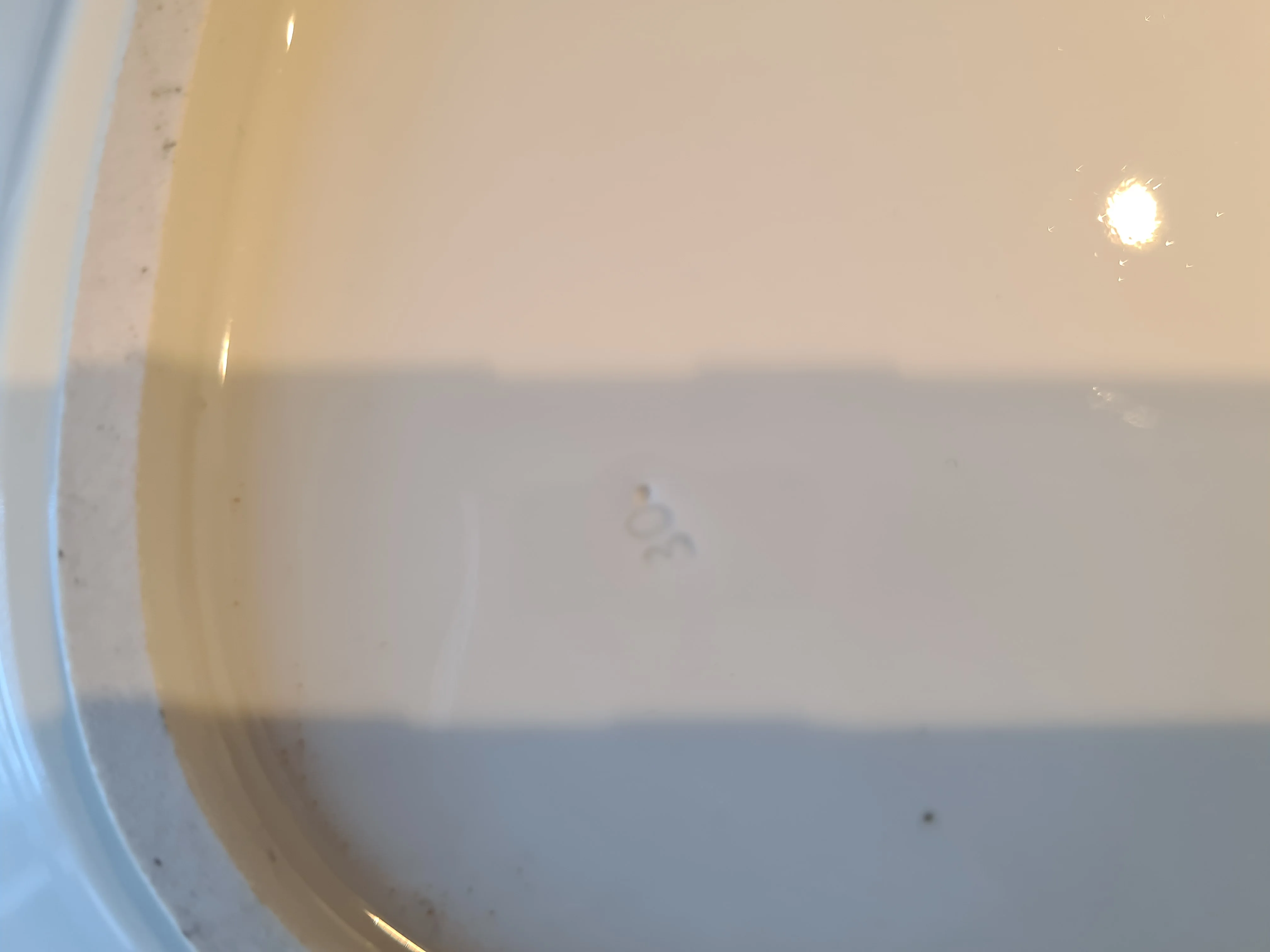 20220910_162535.jpg