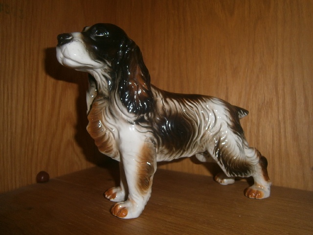 ov_p6160115.jpg