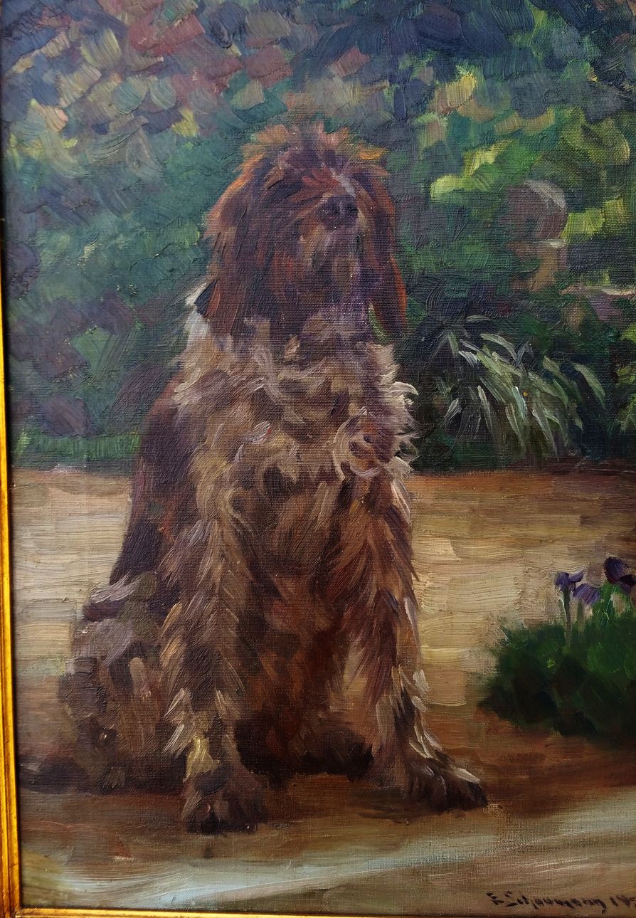 Hund_1.jpg