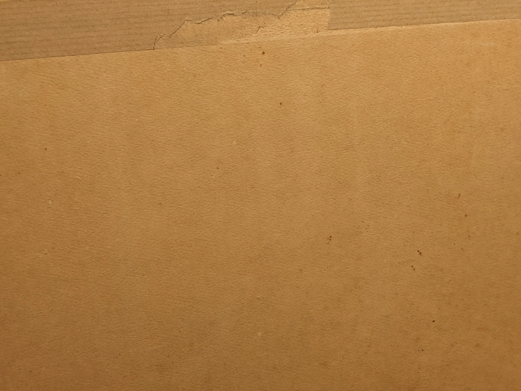 PXL_20221011_180812515.jpg
