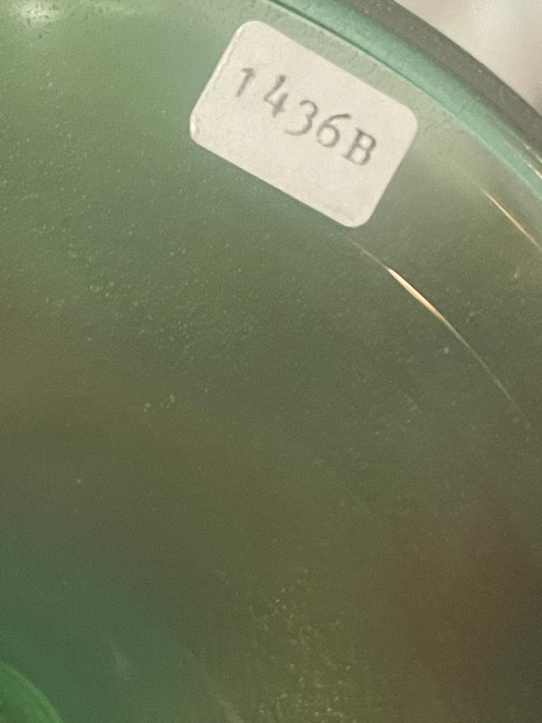 02C571CE-F70D-4B1A-88E1-B56F76A8FAE3.jpeg