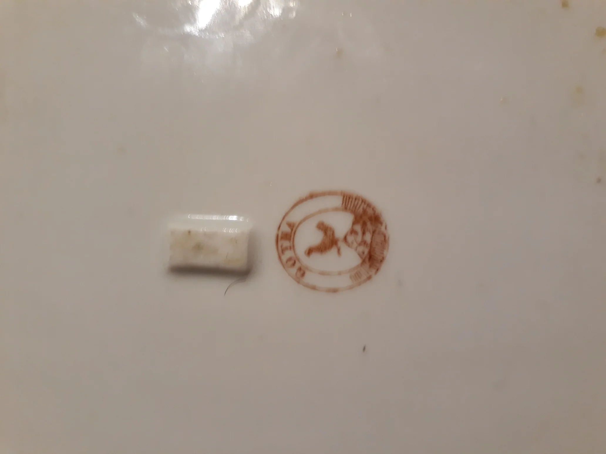 20221021_190857.jpg