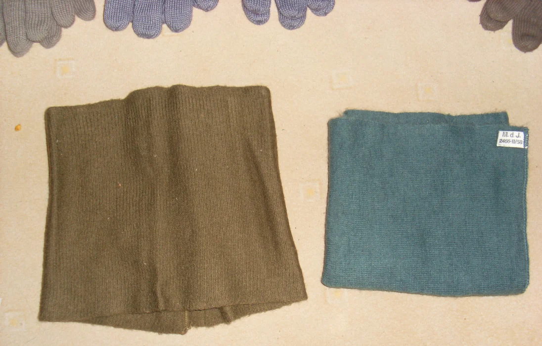 SL384137.JPG