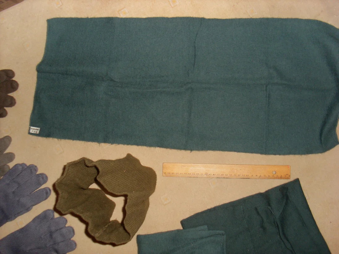SL384138.JPG