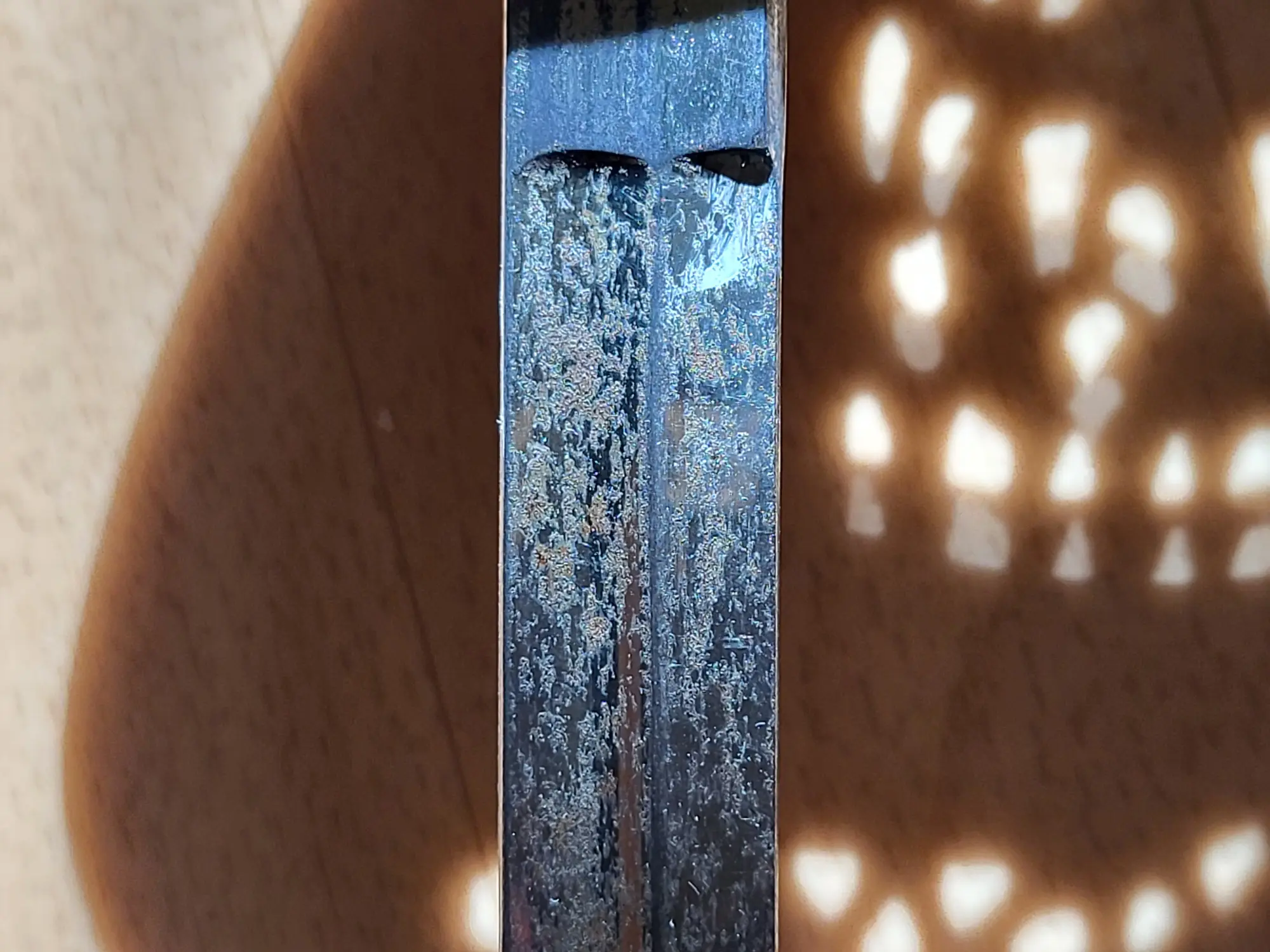 20221016_133136.jpg