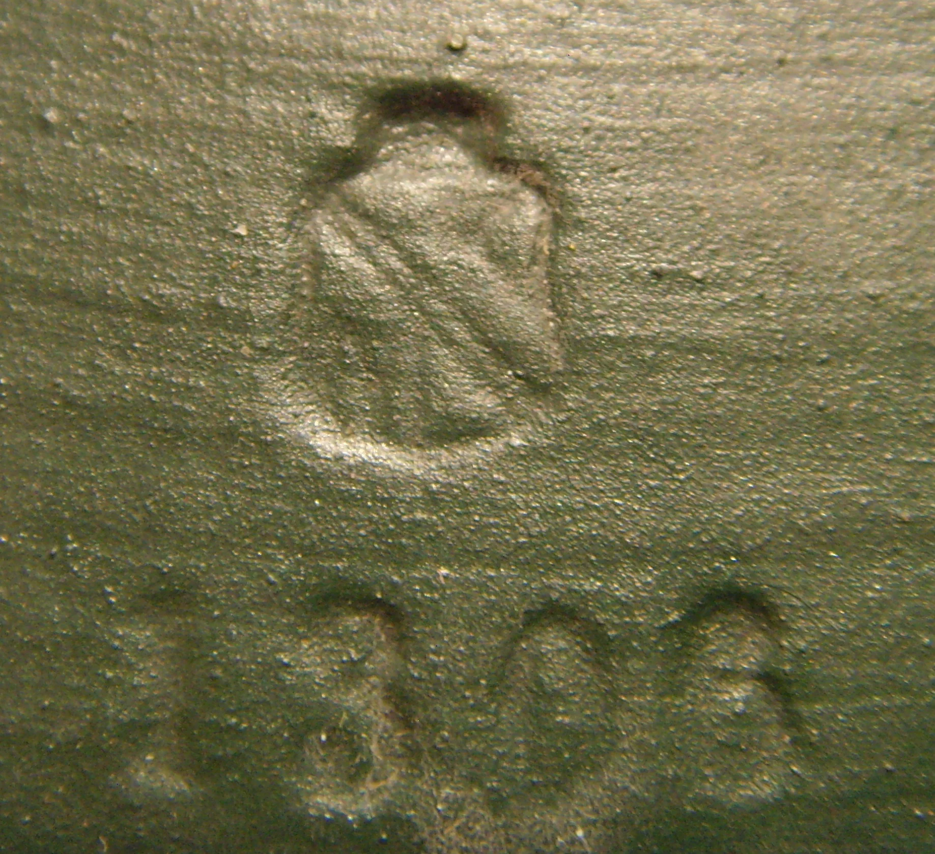 SNV39781.JPG