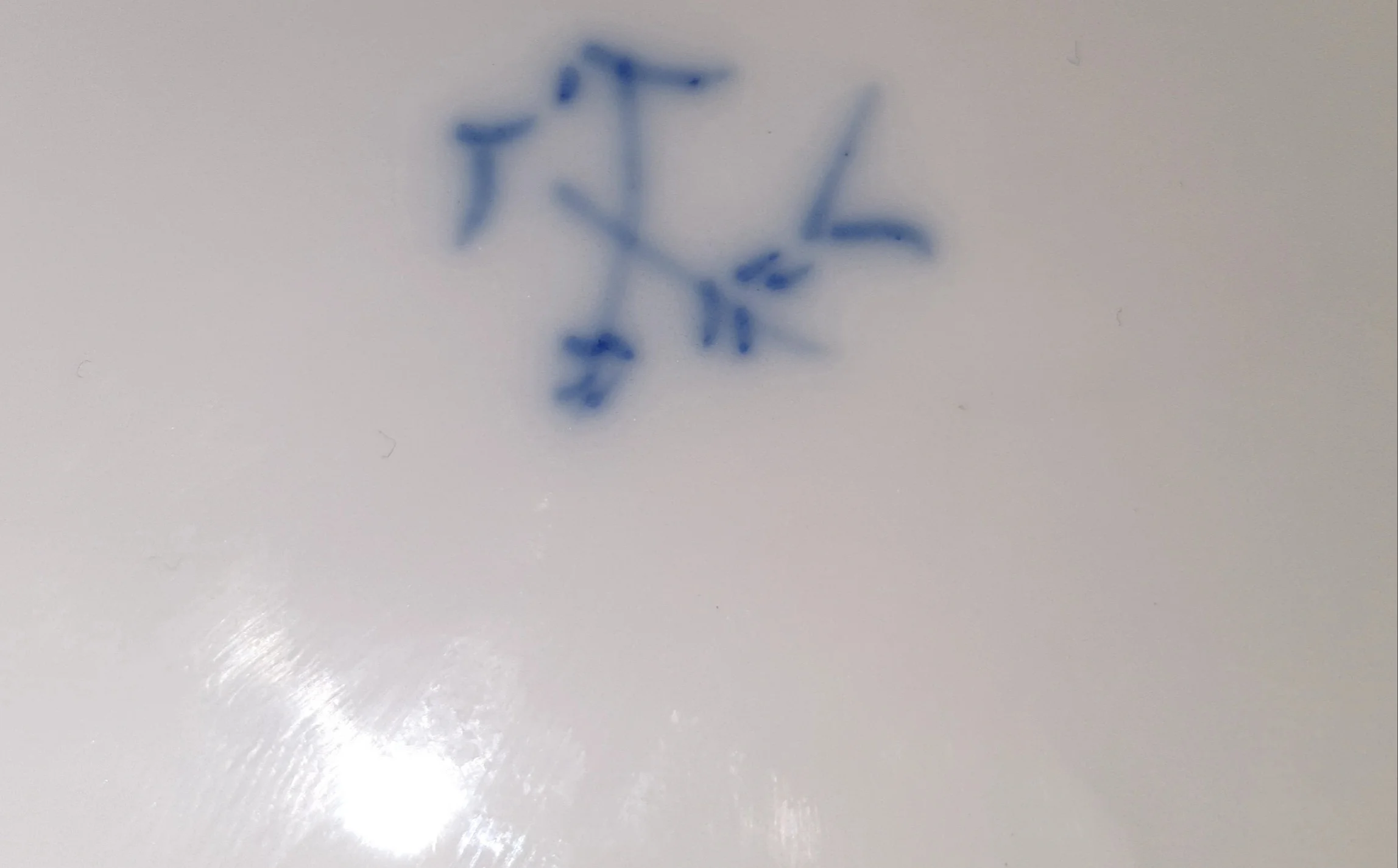 20221116_172530.jpg