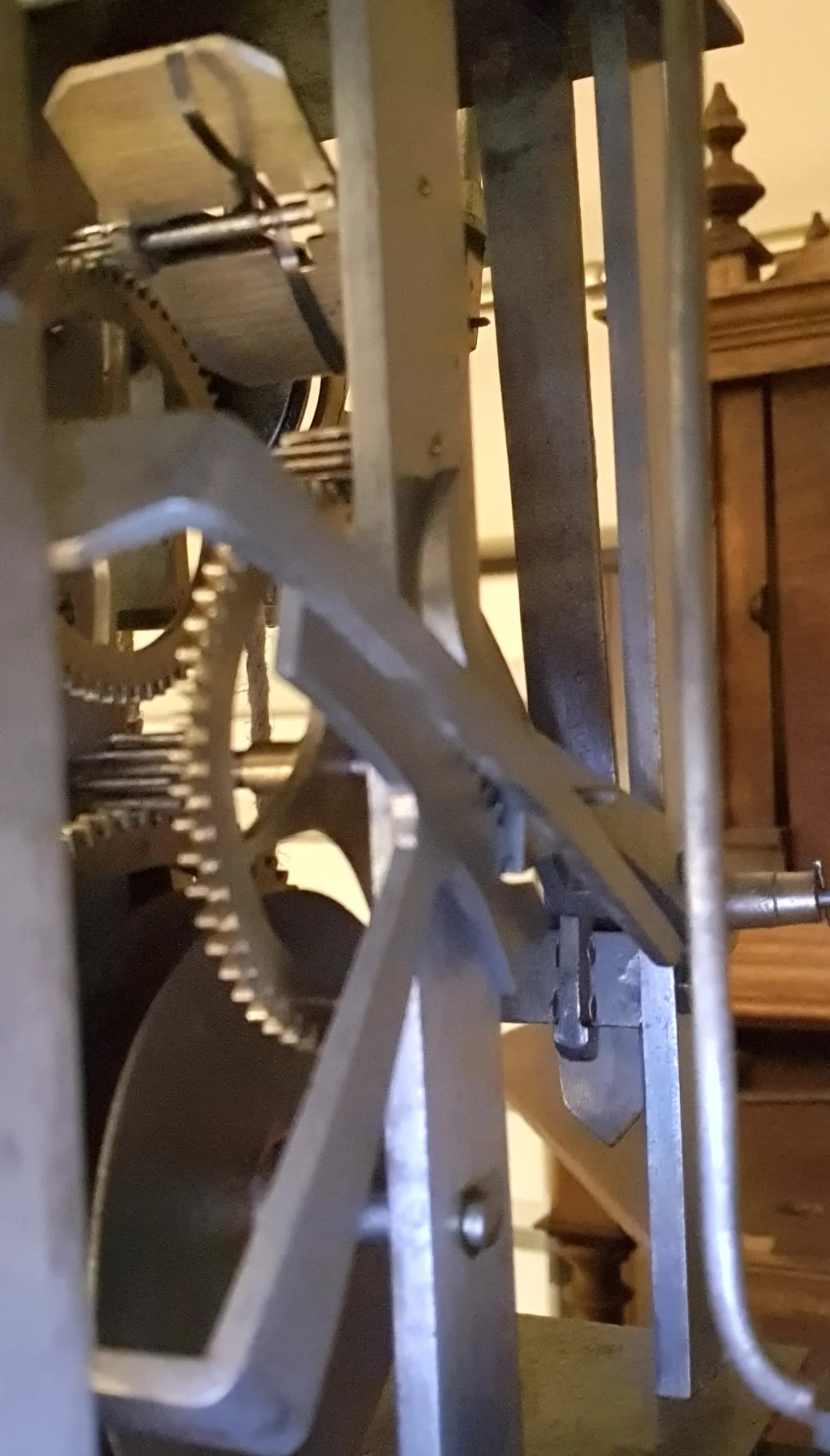 07_20221117_173215.jpg