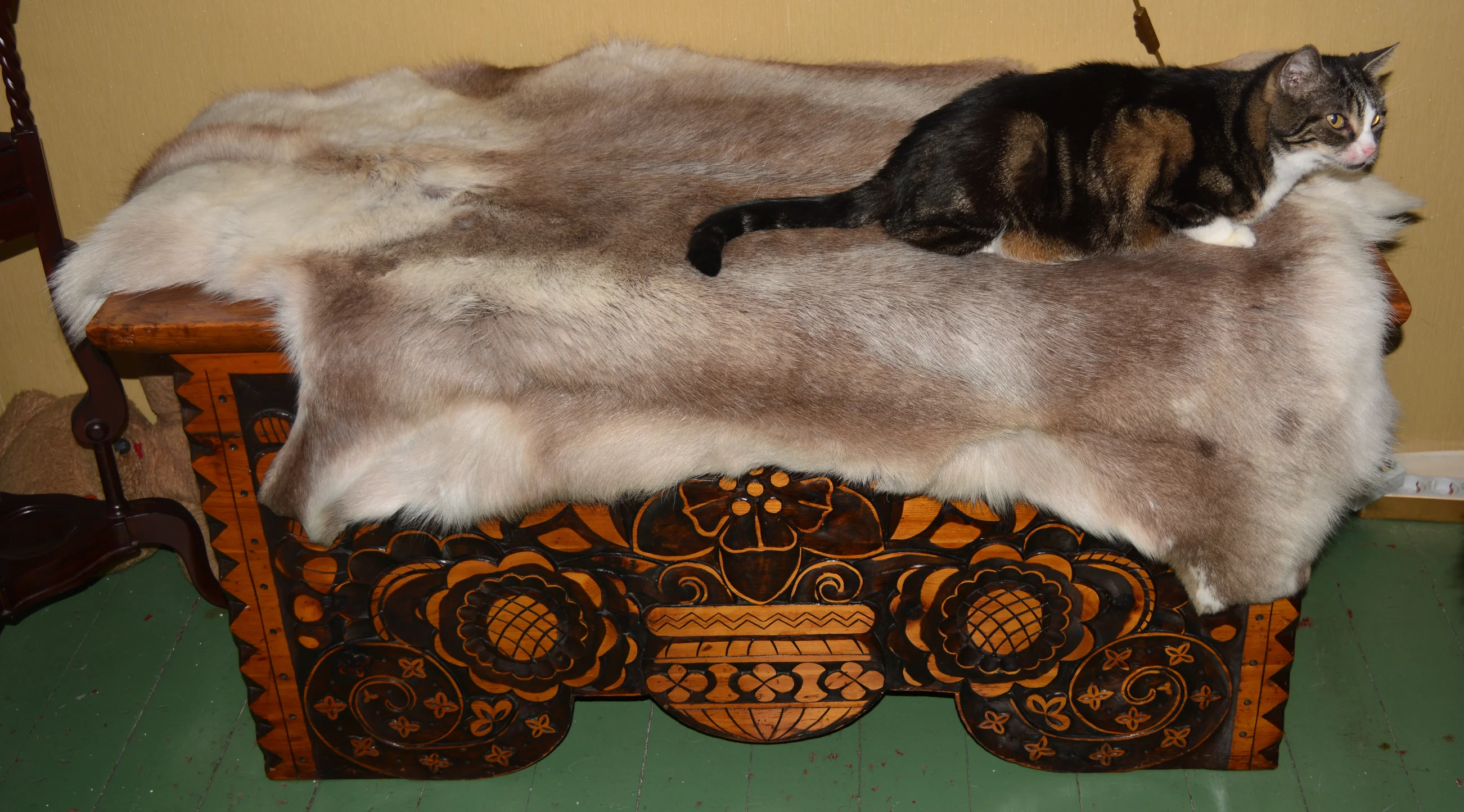 DSC_0916-007.JPG