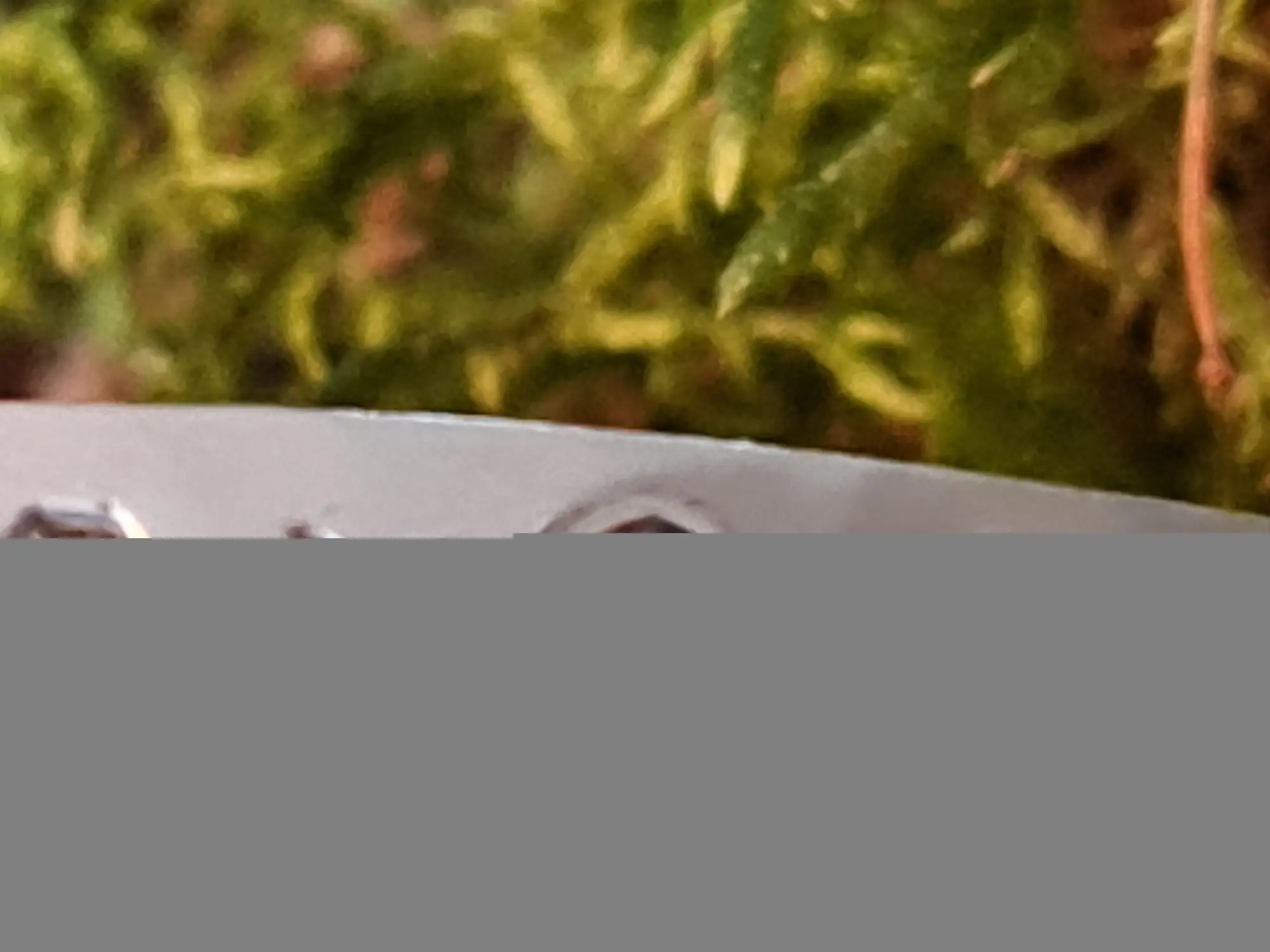 20230124_121949.jpg