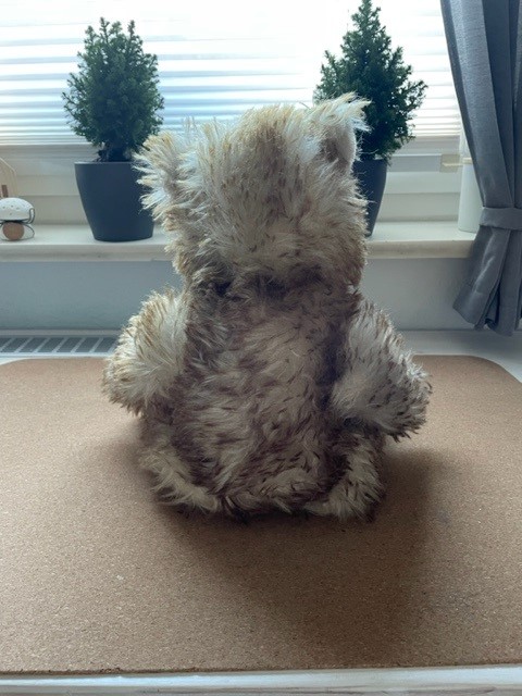 Teddy Rückseite.jpg