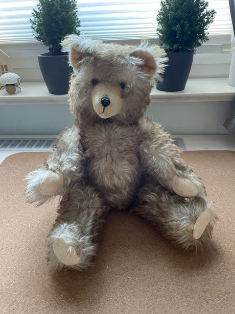 Teddy Vorderseite.jpg