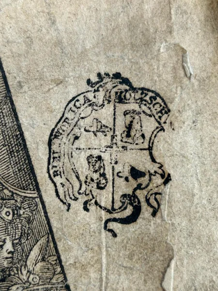 FAPI8475.JPG