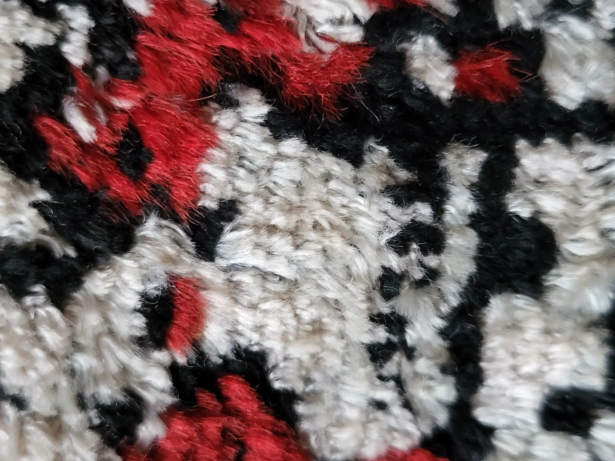 20230222_151546.jpg