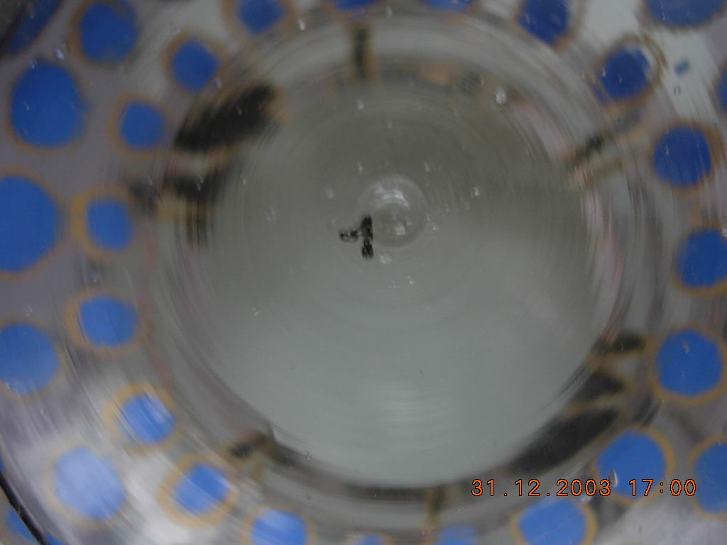 DSCN7916.JPG