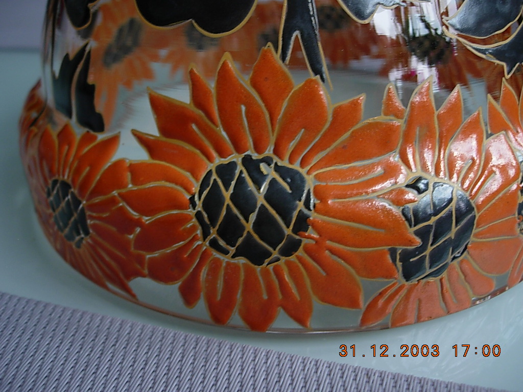 DSCN7919.JPG