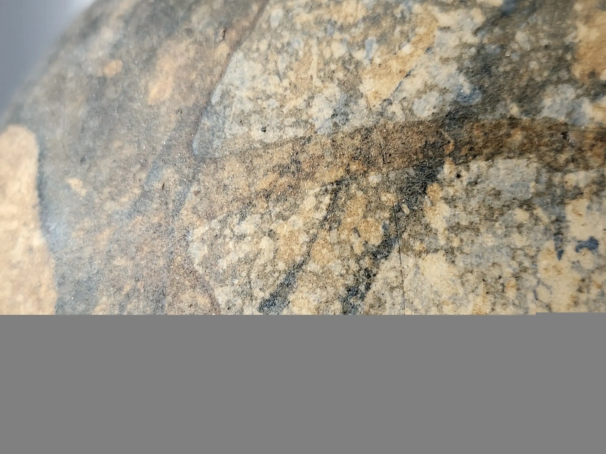 20230307_130853.jpg