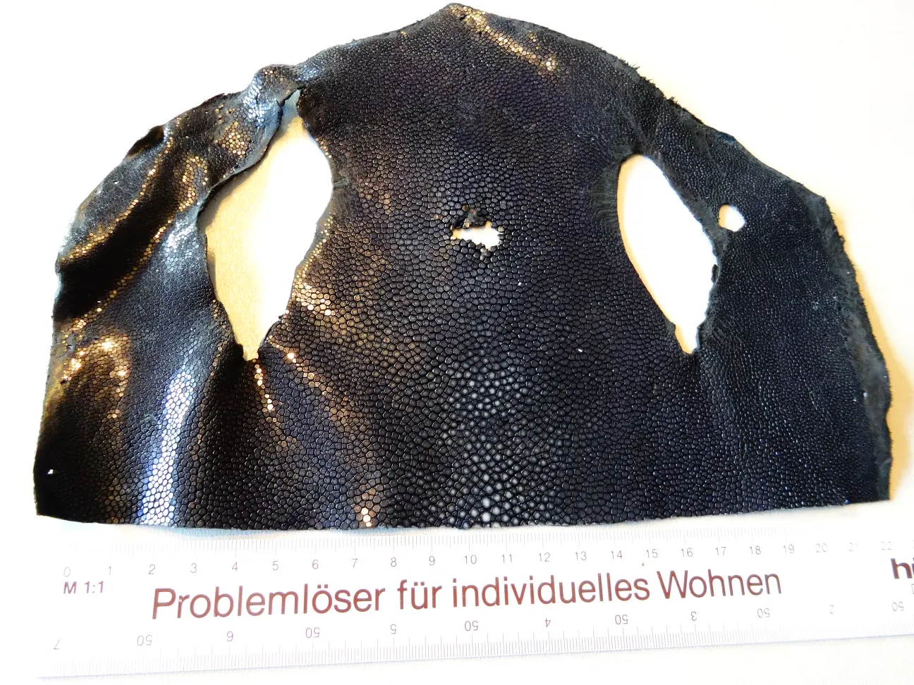 Rochenleder (9).JPG