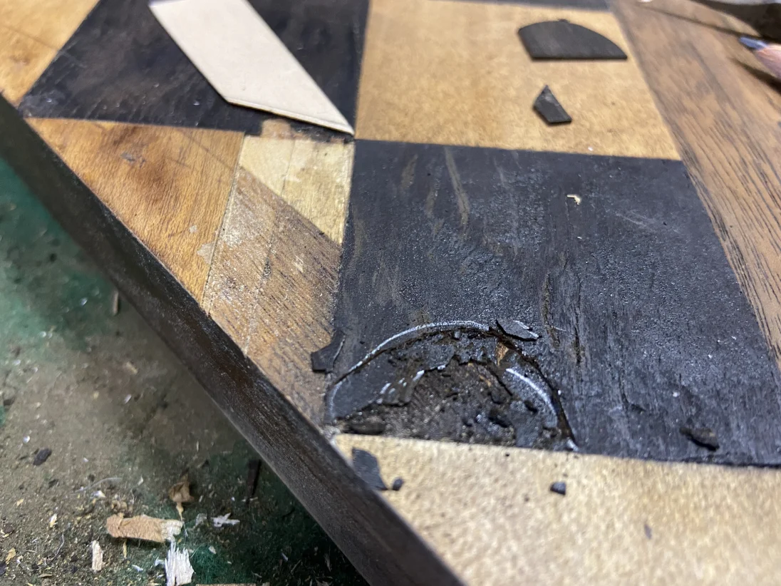 Ebenholz1.JPG