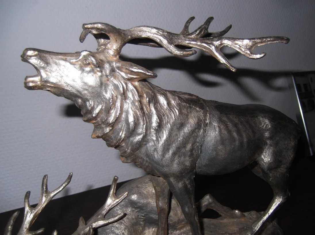 DSCF1850.JPG