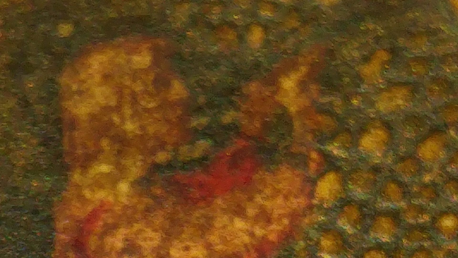 1Screenshot_2016-10-02-21-38-01_resized.jpg