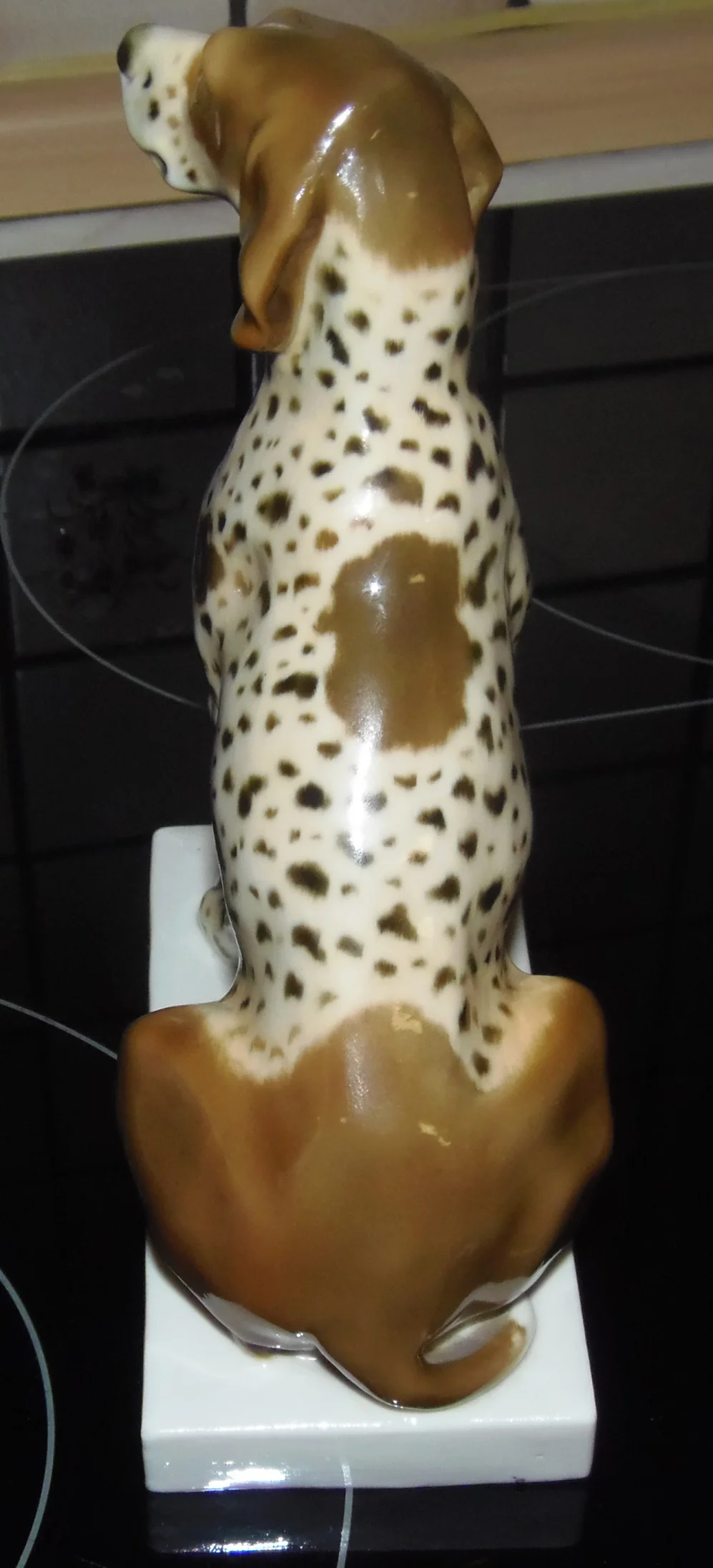 PA102595.JPG