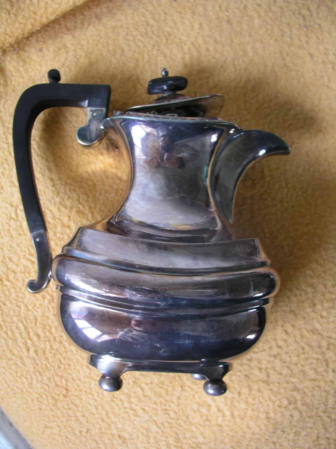 P1010073.JPG
