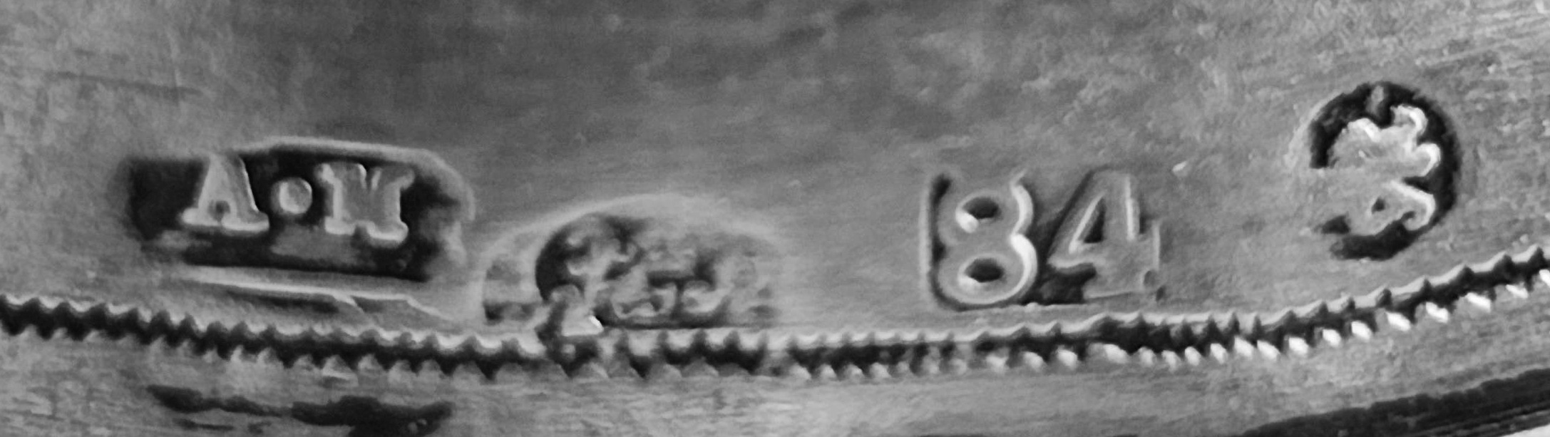 St. Petersburg Pokal_2.jpg