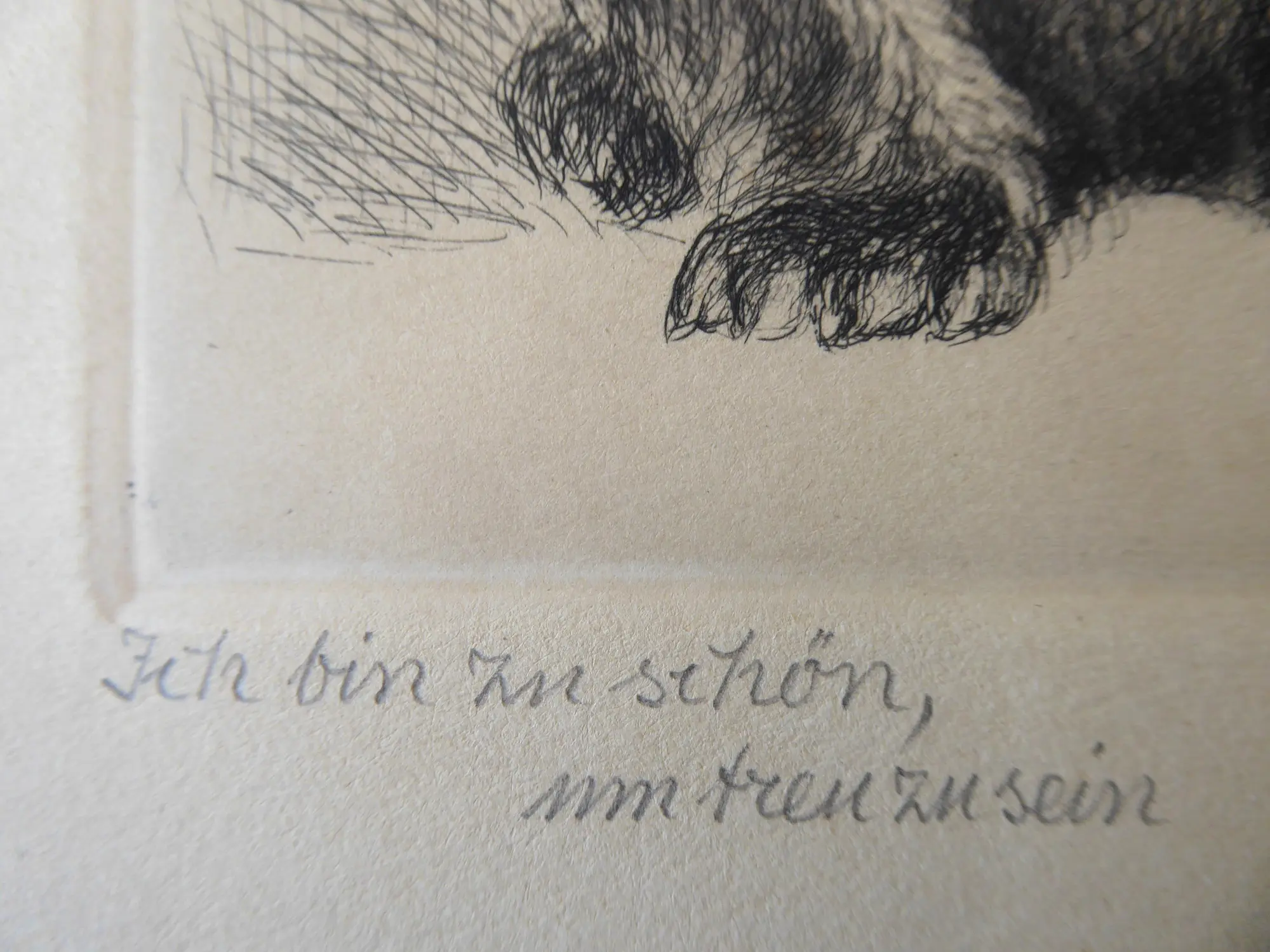 Mierentorff (2).JPG