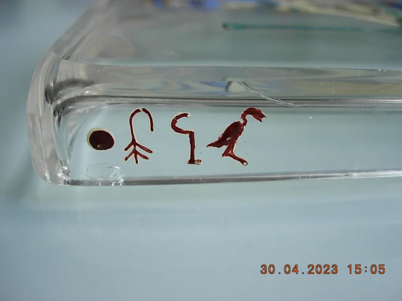 DSCN7996.JPG