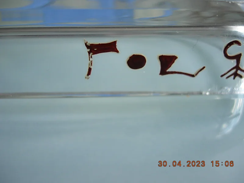 DSCN8000.JPG