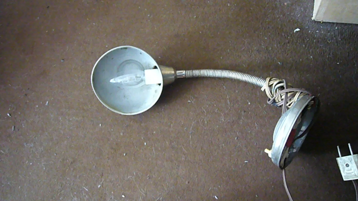 P1040275.JPG