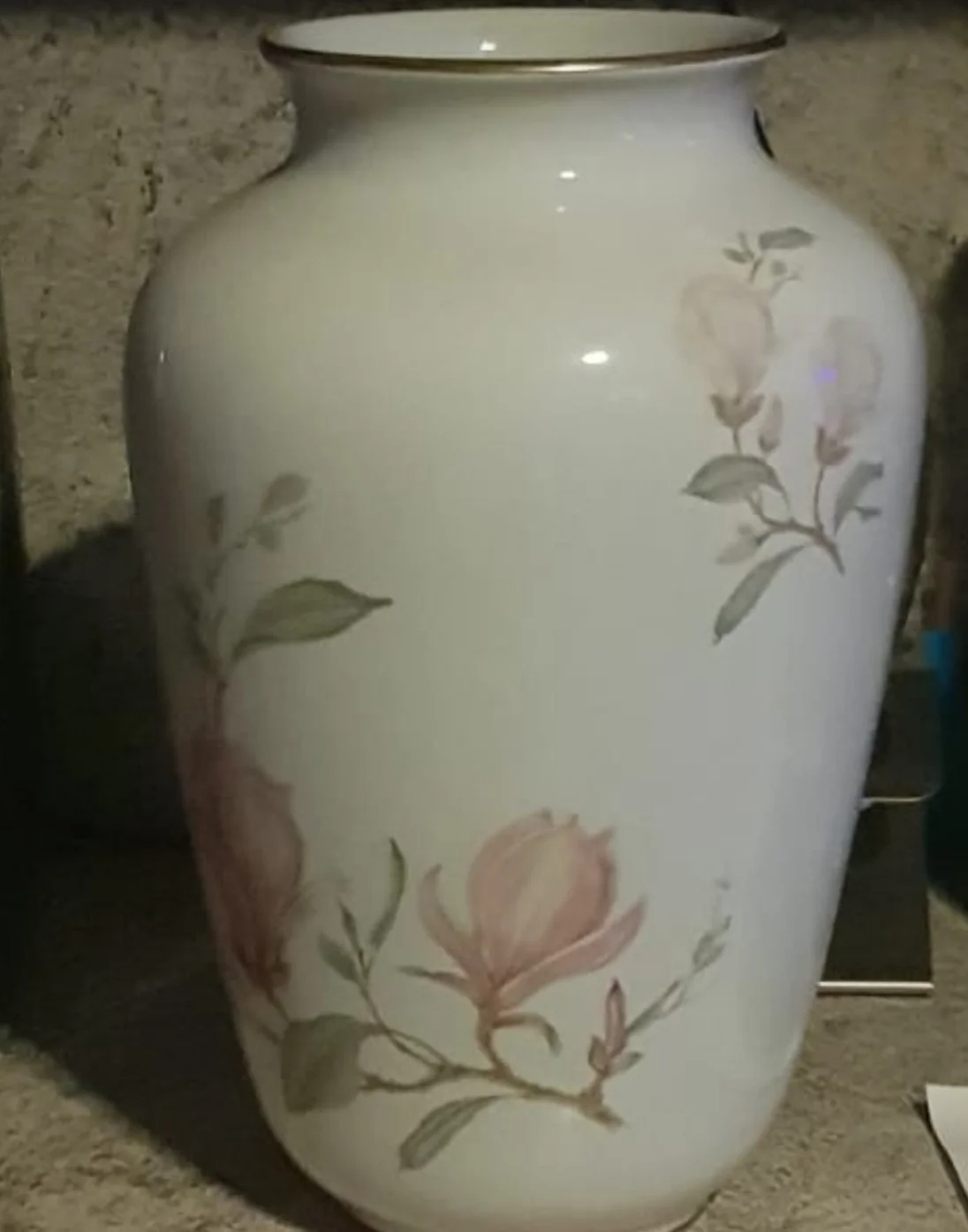 20230606_085011.jpg