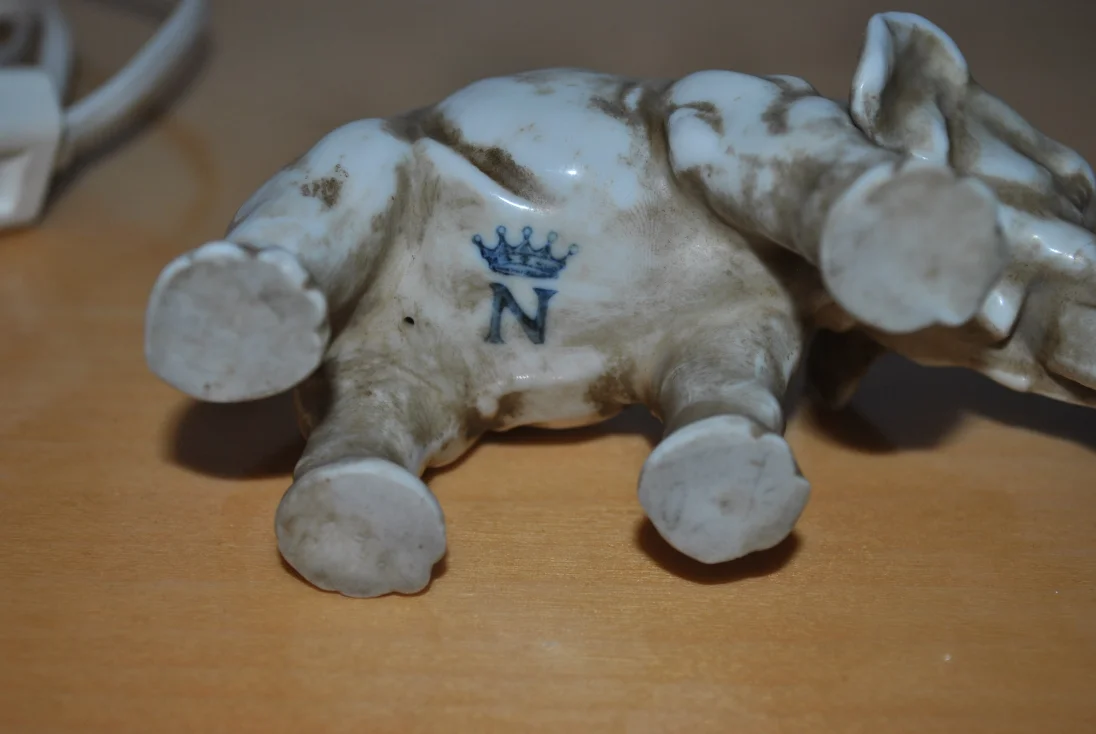 Elefant Unterseite