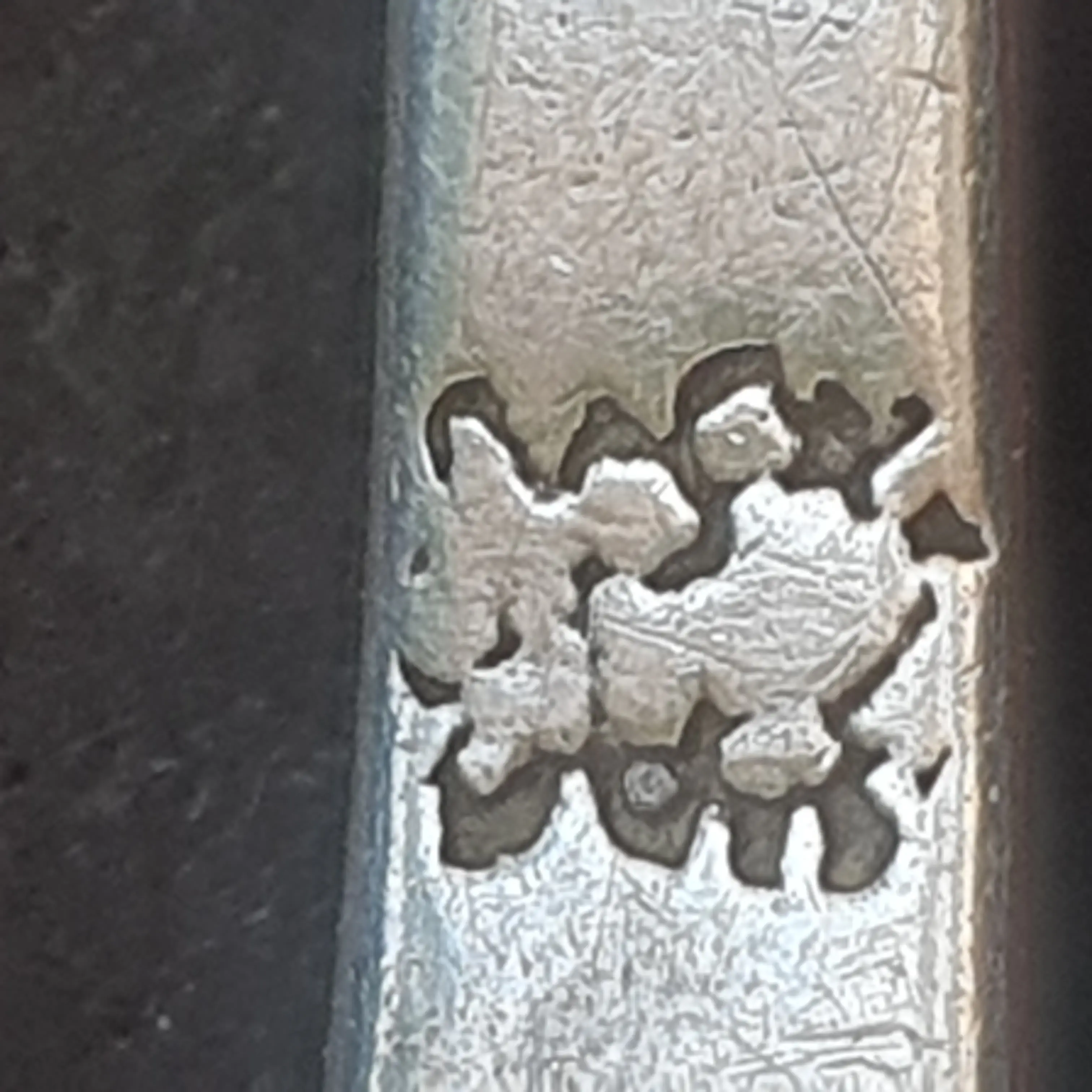 20230614_080211.jpg