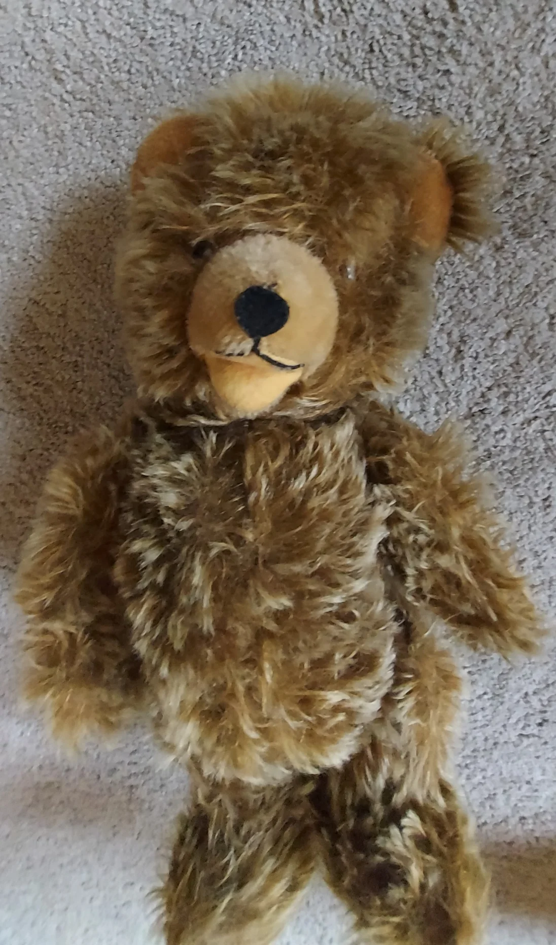 Teddy3 (2).jpg
