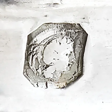 minerva 1 - Copy.jpg
