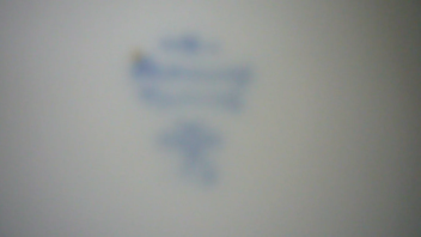 P1050132.JPG