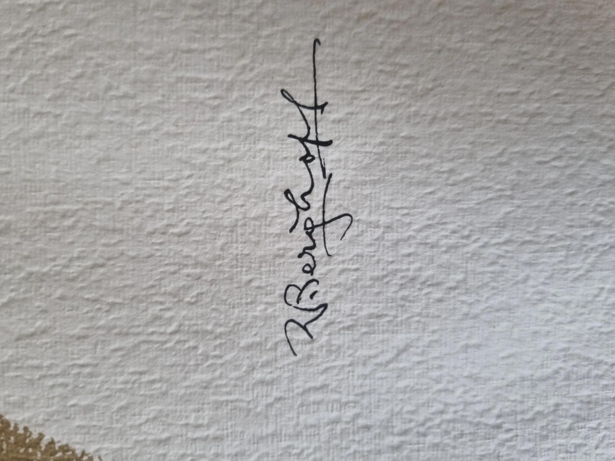 20230709_115919.jpg