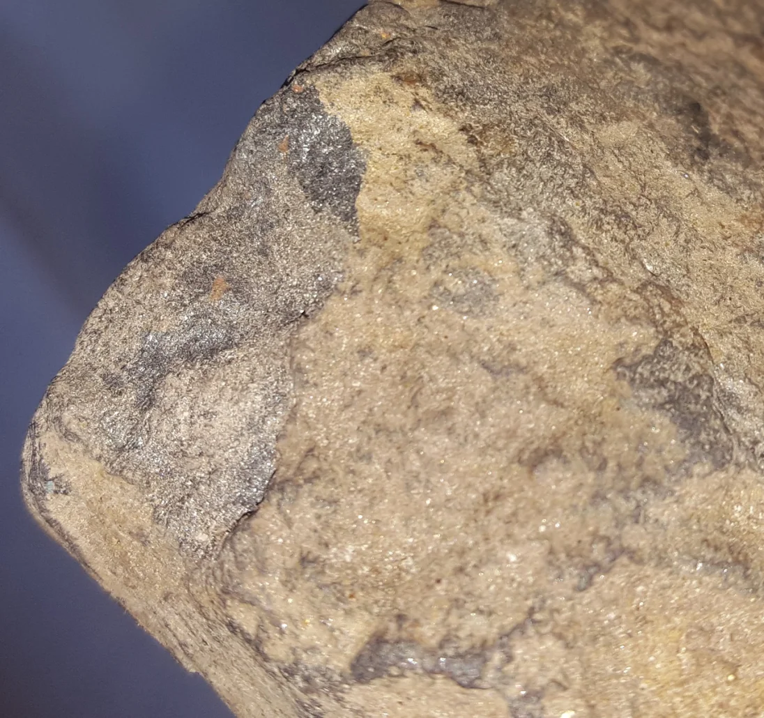 20161202_132947.jpg