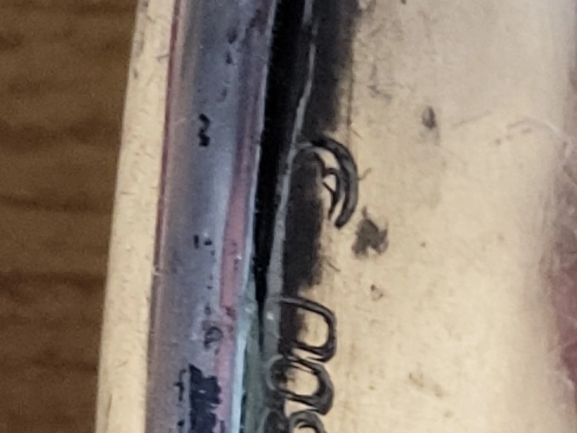 20230728_100352.jpg
