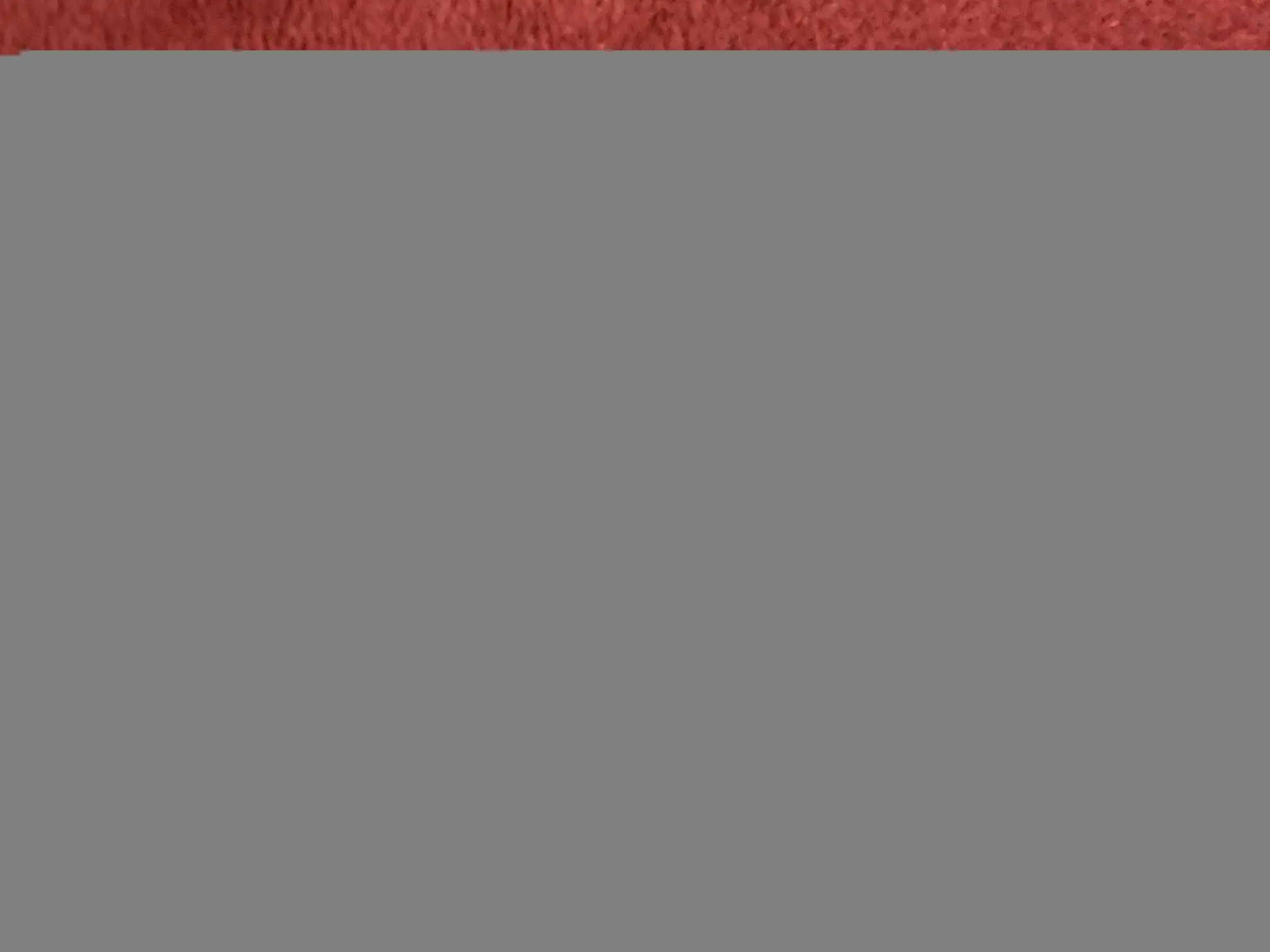 IMG_8312.jpeg