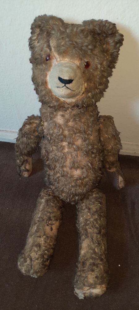 Teddy 1.jpg