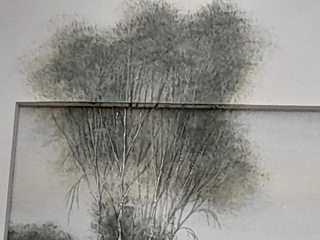20230814_192943.jpg